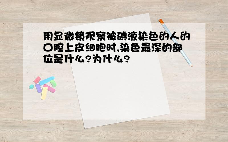 用显微镜观察被碘液染色的人的口腔上皮细胞时,染色最深的部位是什么?为什么?