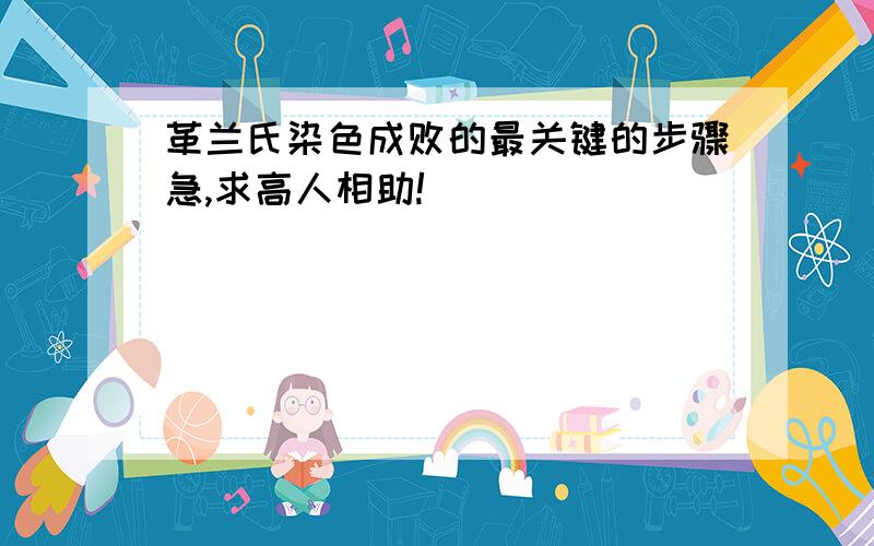 革兰氏染色成败的最关键的步骤急,求高人相助!