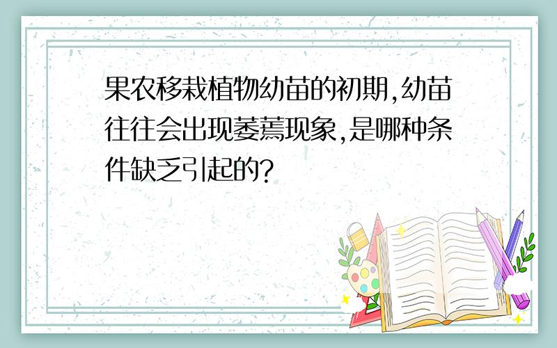 果农移栽植物幼苗的初期,幼苗往往会出现萎蔫现象,是哪种条件缺乏引起的?