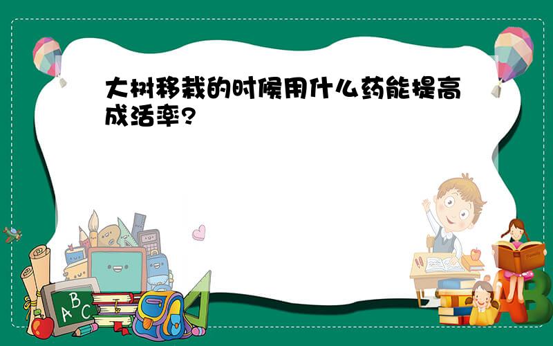 大树移栽的时候用什么药能提高成活率?