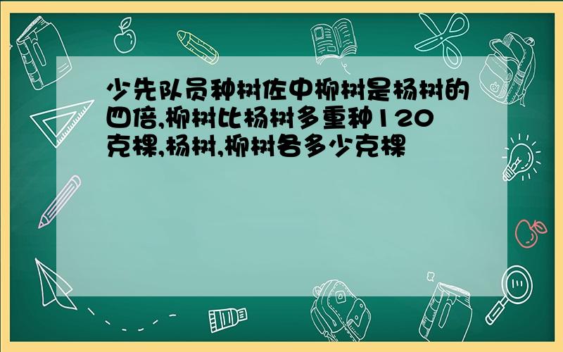 少先队员种树佐中柳树是杨树的四倍,柳树比杨树多重种120克棵,杨树,柳树各多少克棵