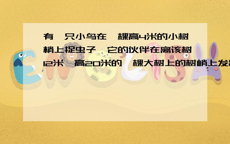 有一只小鸟在一棵高4米的小树梢上捉虫子,它的伙伴在离该树12米,高20米的一棵大树上的树峭上发出友好的叫声,小鸟立刻以4米每秒的速度飞向大树树梢,那么要飞几秒才可能和伙伴在一起