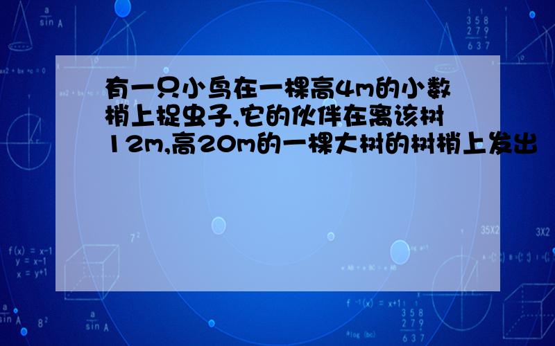 有一只小鸟在一棵高4m的小数梢上捉虫子,它的伙伴在离该树12m,高20m的一棵大树的树梢上发出