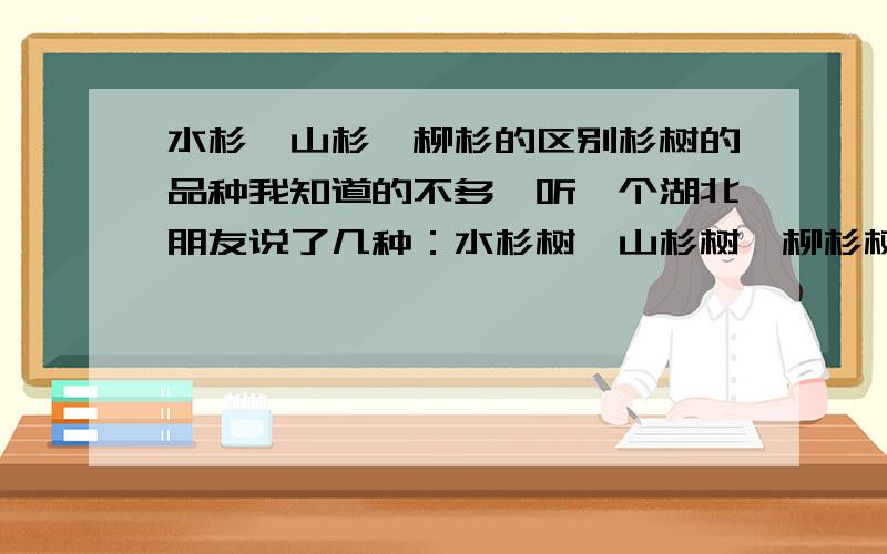 水杉,山杉,柳杉的区别杉树的品种我知道的不多,听一个湖北朋友说了几种：水杉树,山杉树,柳杉树.知不知道这三种的区别在哪?