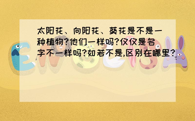 太阳花、向阳花、葵花是不是一种植物?他们一样吗?仅仅是名字不一样吗?如若不是,区别在哪里?