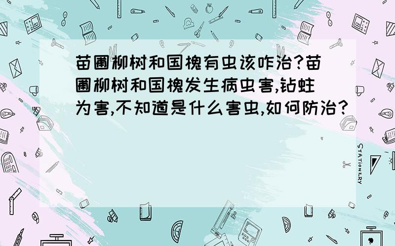 苗圃柳树和国槐有虫该咋治?苗圃柳树和国槐发生病虫害,钻蛀为害,不知道是什么害虫,如何防治?