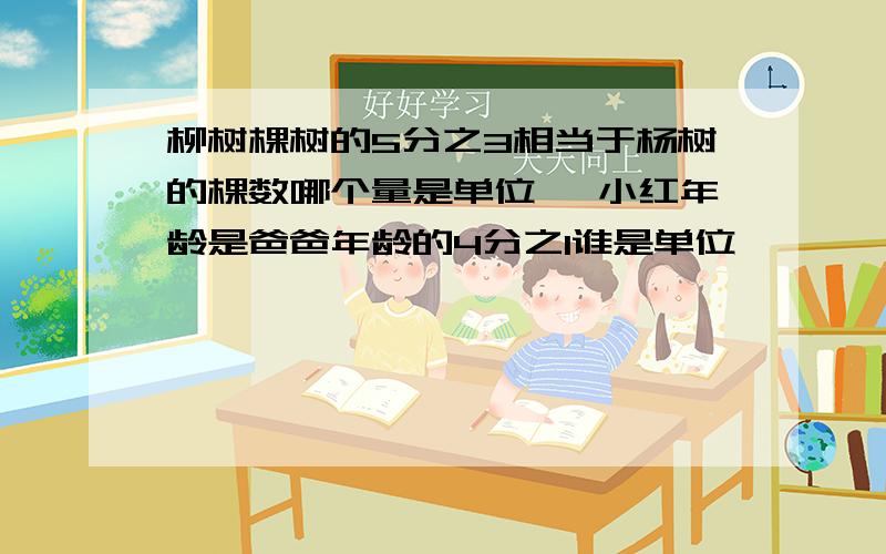 柳树棵树的5分之3相当于杨树的棵数哪个量是单位一 小红年龄是爸爸年龄的4分之1谁是单位一