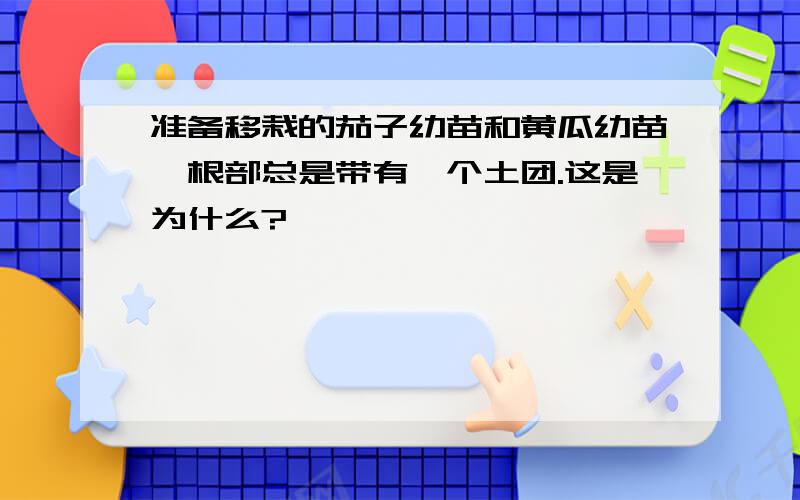 准备移栽的茄子幼苗和黄瓜幼苗,根部总是带有一个土团.这是为什么?