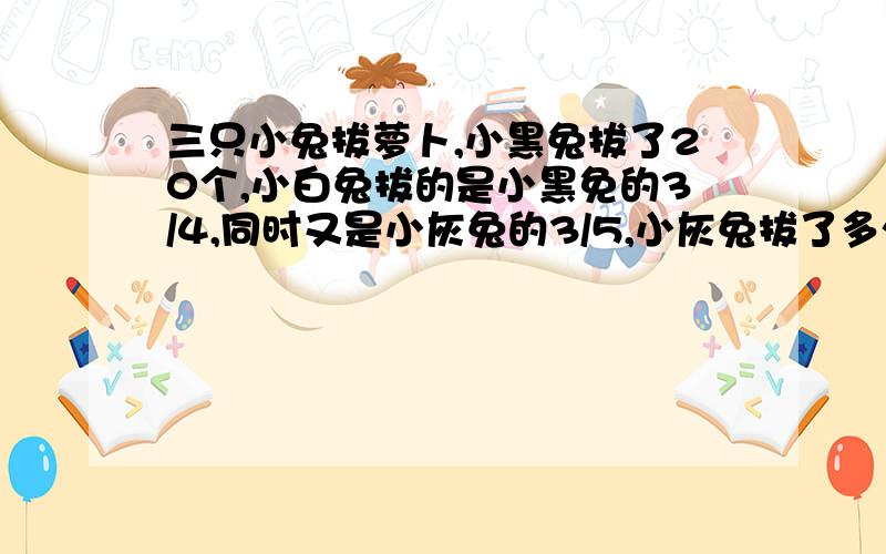 三只小兔拔萝卜,小黑兔拔了20个,小白兔拔的是小黑免的3/4,同时又是小灰兔的3/5,小灰兔拔了多少个?