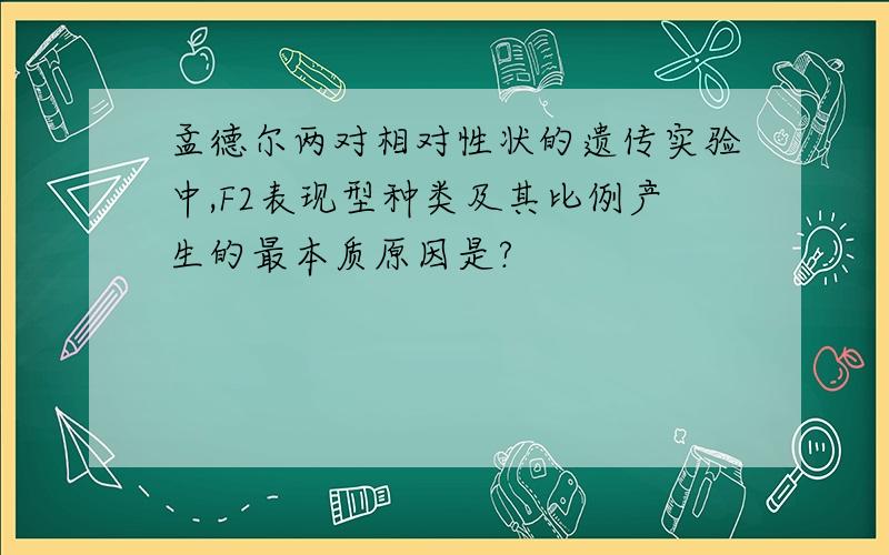 孟德尔两对相对性状的遗传实验中,F2表现型种类及其比例产生的最本质原因是?