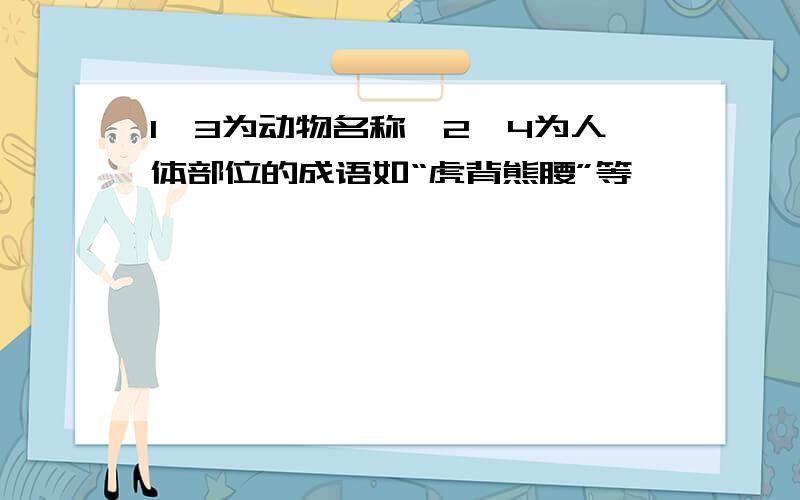 1、3为动物名称,2、4为人体部位的成语如“虎背熊腰”等