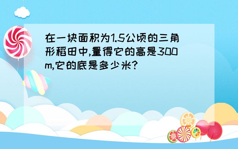 在一块面积为1.5公顷的三角形稻田中,量得它的高是300m,它的底是多少米?