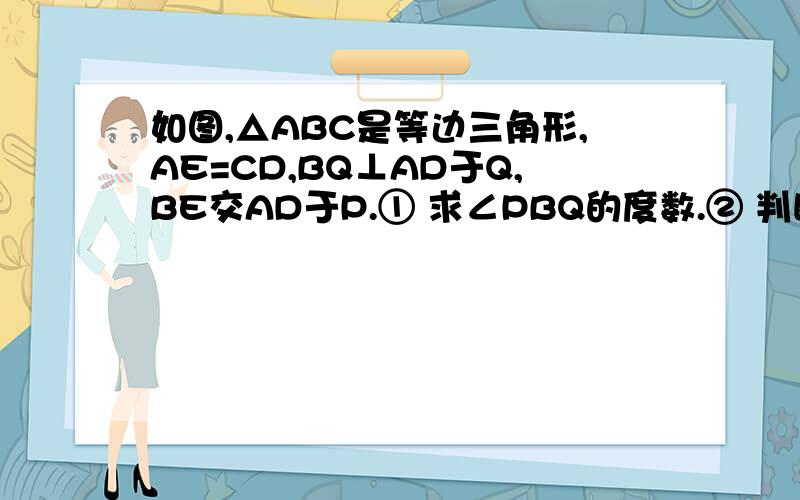 如图,△ABC是等边三角形,AE=CD,BQ⊥AD于Q,BE交AD于P.① 求∠PBQ的度数.② 判断PQ与BP的数量关系.