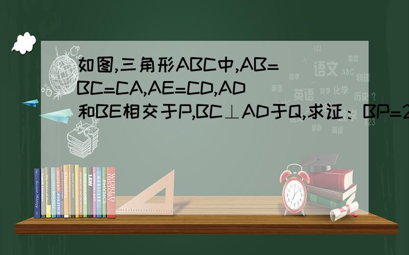 如图,三角形ABC中,AB=BC=CA,AE=CD,AD和BE相交于P,BC⊥AD于Q,求证：BP=2PQ