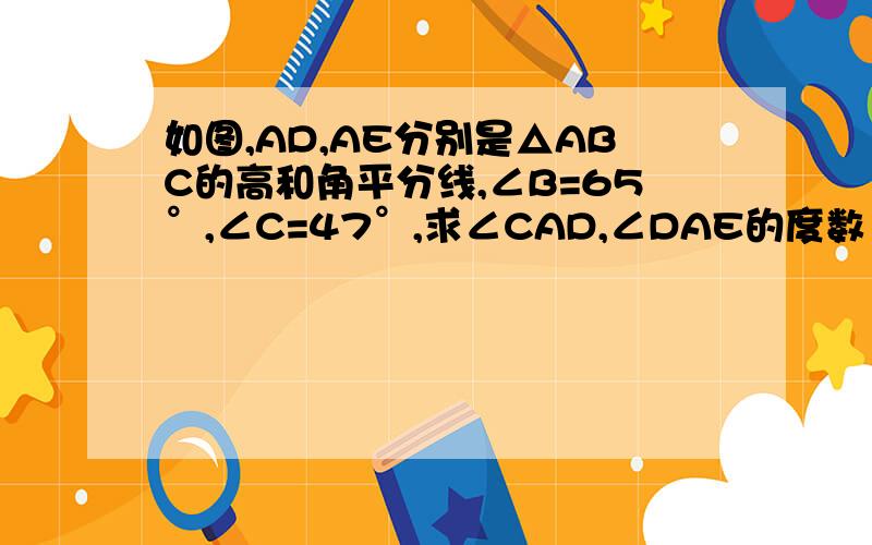 如图,AD,AE分别是△ABC的高和角平分线,∠B=65°,∠C=47°,求∠CAD,∠DAE的度数