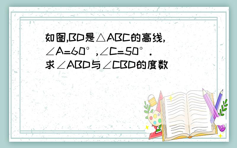 如图,BD是△ABC的高线,∠A=60°,∠C=50°.求∠ABD与∠CBD的度数