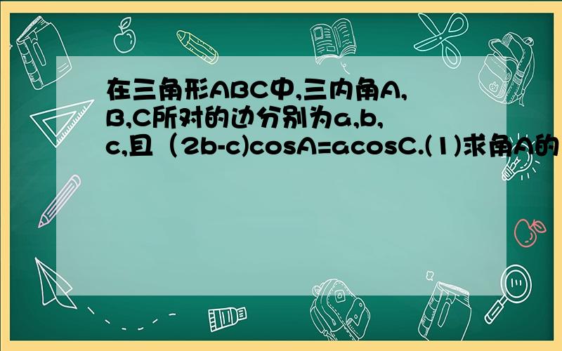 在三角形ABC中,三内角A,B,C所对的边分别为a,b,c,且（2b-c)cosA=acosC.(1)求角A的大小,（2）求cos平方B+cos平方C的取值范围