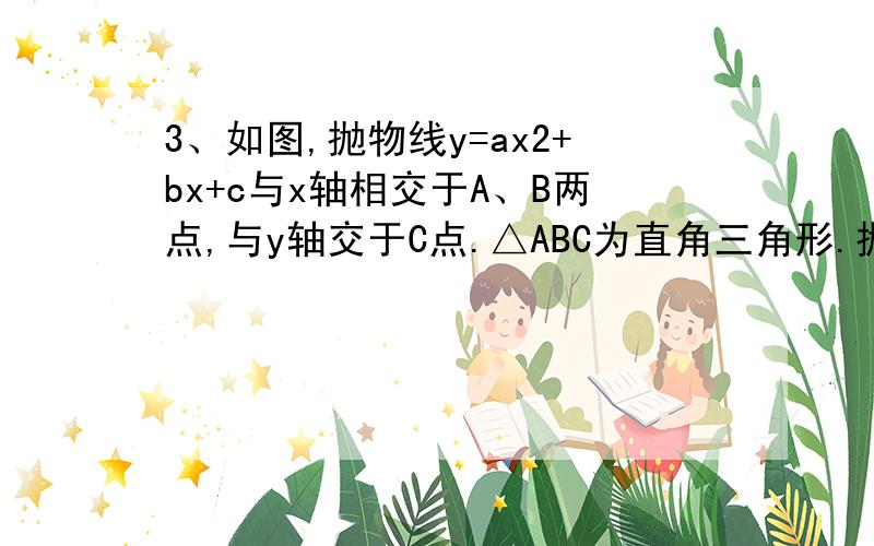 3、如图,抛物线y=ax2+bx+c与x轴相交于A、B两点,与y轴交于C点.△ABC为直角三角形.抛物线y=ax2+bx+c与x轴相交于A、B两点,与y轴交于C点.△ABC为直角三角形.①求代数式ac的值 ②如果AO：BO=1：3,且2AO·CO=\