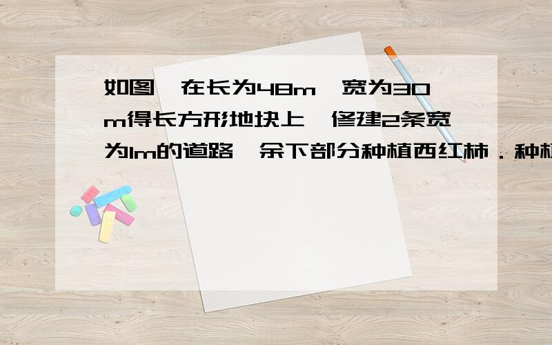 如图,在长为48m,宽为30m得长方形地块上,修建2条宽为1m的道路,余下部分种植西红柿．种植西红柿的面积是多少?