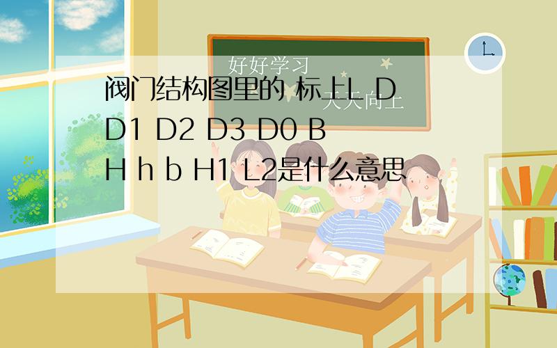 阀门结构图里的 标上L D D1 D2 D3 D0 B H h b H1 L2是什么意思