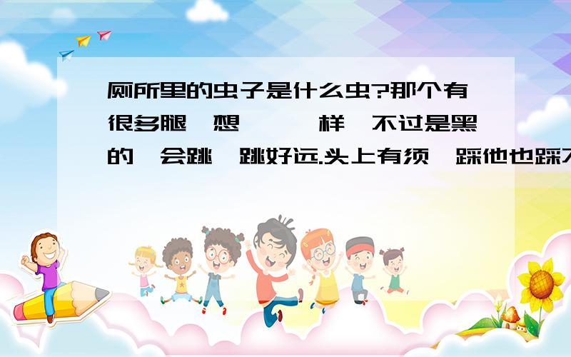 厕所里的虫子是什么虫?那个有很多腿,想蛐蛐一样,不过是黑的,会跳,跳好远.头上有须,踩他也踩不着,对人体不知道有没有害,不过应该是没有,反正成虫大约3CM长,怕水,