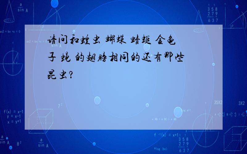 请问和蝗虫 蝴蝶 蜻蜓 金龟子 蝇 的翅膀相同的还有那些昆虫?