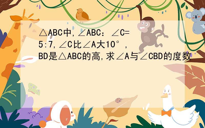 △ABC中,∠ABC：∠C=5:7,∠C比∠A大10°,BD是△ABC的高,求∠A与∠CBD的度数