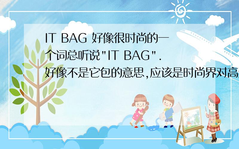 IT BAG 好像很时尚的一个词总听说