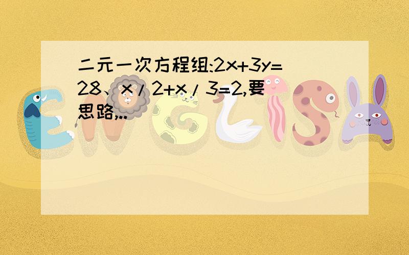 二元一次方程组:2x+3y=28、x/2+x/3=2,要思路,..