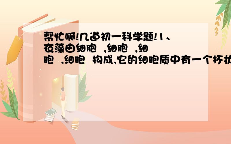 帮忙啊!几道初一科学题!1、衣藻由细胞  ,细胞  ,细胞  ,细胞  构成,它的细胞质中有一个杯状   .2、简单描述衣藻怎样利用自身的结构特点制造有机物3、酵母菌细胞所具有的结构是A.细胞壁、