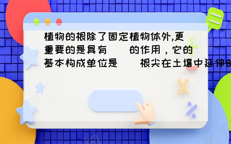 植物的根除了固定植物体外,更重要的是具有（）的作用，它的基本构成单位是（）根尖在土壤中延伸的过程中，会不断磨损，所以顶端的根冠可以起到（）作用伸长区和成熟区的细胞的中央