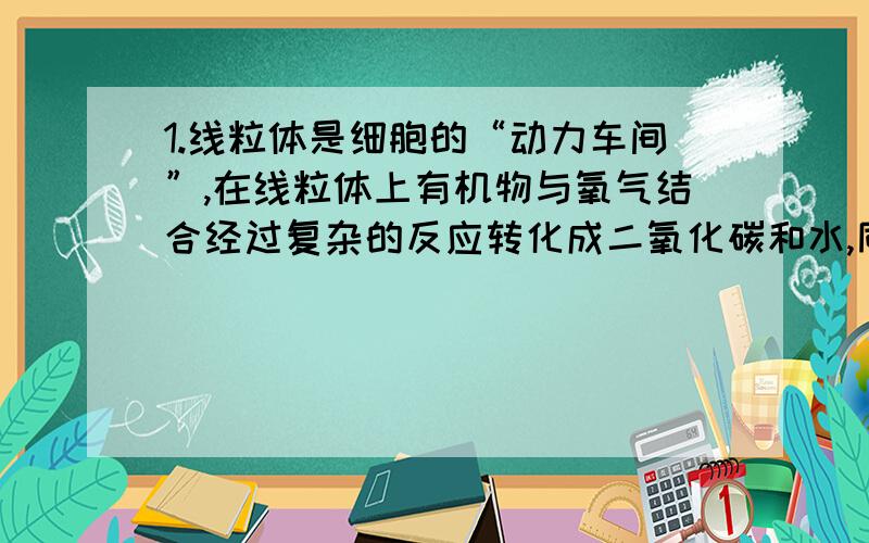 1.线粒体是细胞的“动力车间”,在线粒体上有机物与氧气结合经过复杂的反应转化成二氧化碳和水,同时将有机物中的化学能释放出来,供细胞利用.研究发现不同的细胞内线粒体的数目不同.请