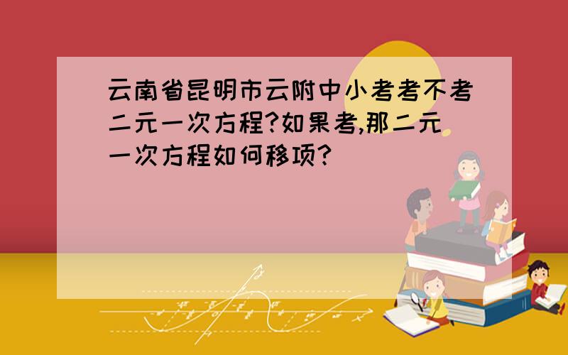 云南省昆明市云附中小考考不考二元一次方程?如果考,那二元一次方程如何移项?