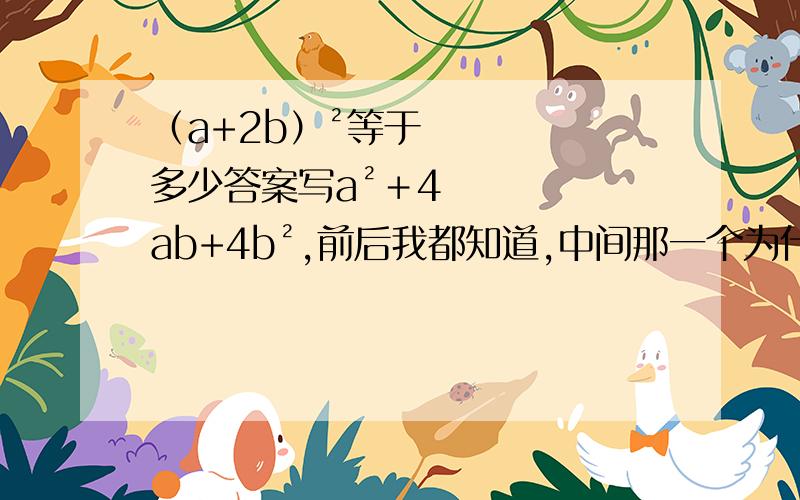 （a+2b）²等于多少答案写a²＋4ab+4b²,前后我都知道,中间那一个为什么是4ab,不是2（a×2b）不是等于2a×4b吗,怎么变成4ab了?