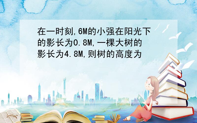 在一时刻,6M的小强在阳光下的影长为0.8M,一棵大树的影长为4.8M,则树的高度为