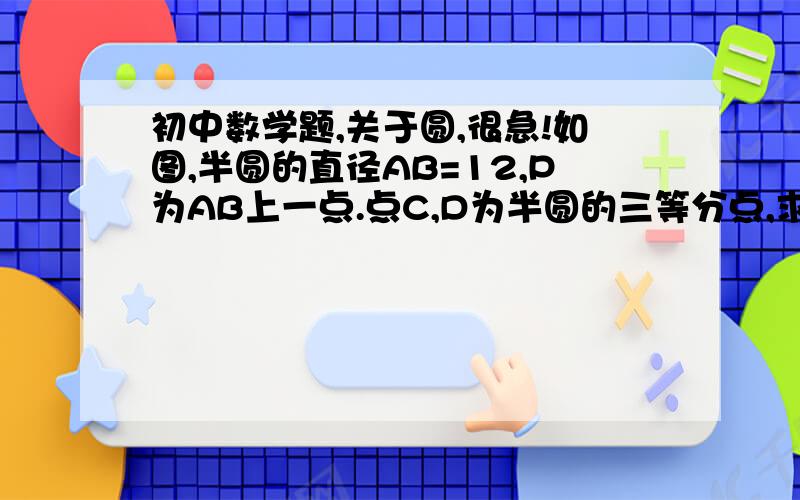 初中数学题,关于圆,很急!如图,半圆的直径AB=12,P为AB上一点.点C,D为半圆的三等分点,求其中阴影部分的面积.