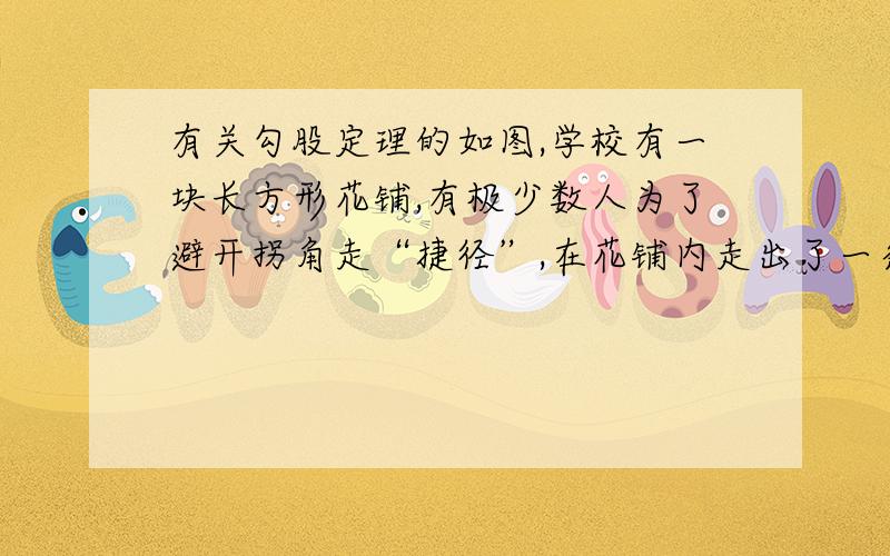 有关勾股定理的如图,学校有一块长方形花铺,有极少数人为了避开拐角走“捷径”,在花铺内走出了一条“路”,踩伤了花草．求他们仅仅少走了几步路．（假设2步为1米） 是两个直角边为6和8