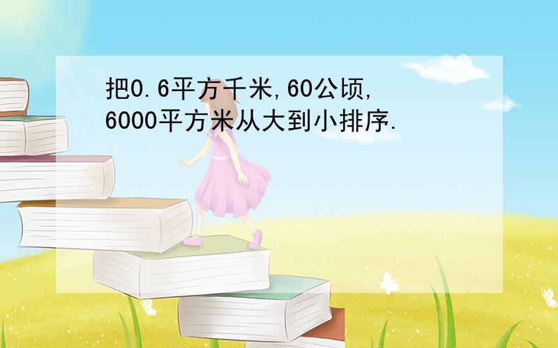 把0.6平方千米,60公顷,6000平方米从大到小排序.