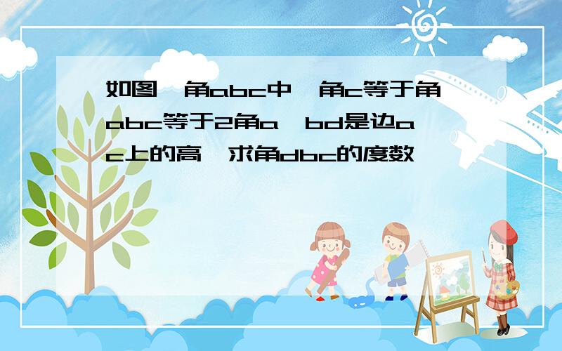 如图,角abc中,角c等于角abc等于2角a,bd是边ac上的高,求角dbc的度数