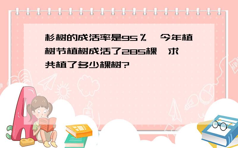 杉树的成活率是95％,今年植树节植树成活了285棵,求一共植了多少棵树?