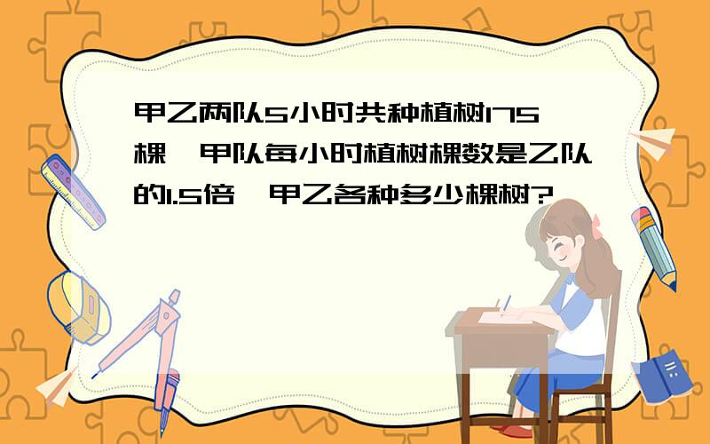 甲乙两队5小时共种植树175棵,甲队每小时植树棵数是乙队的1.5倍,甲乙各种多少棵树?