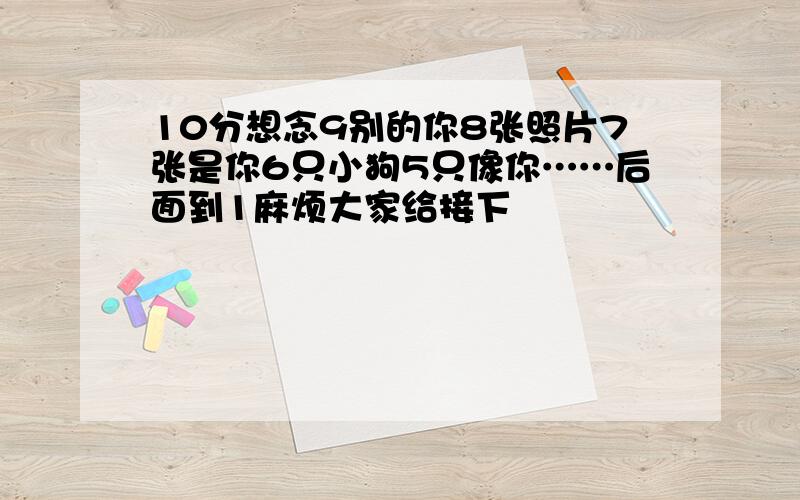 10分想念9别的你8张照片7张是你6只小狗5只像你……后面到1麻烦大家给接下