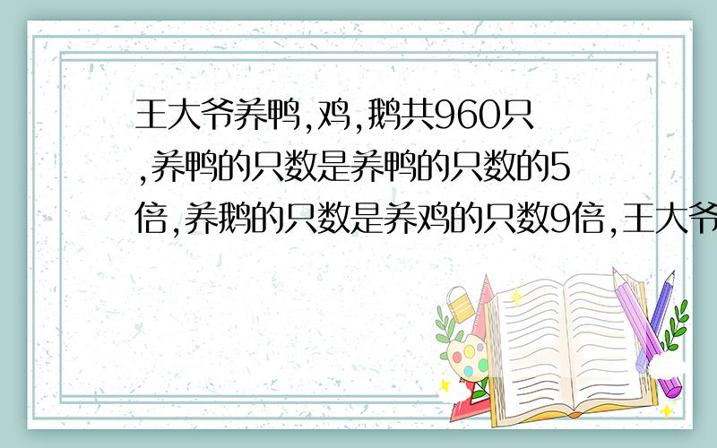 王大爷养鸭,鸡,鹅共960只,养鸭的只数是养鸭的只数的5倍,养鹅的只数是养鸡的只数9倍,王大爷养鸭,鸡,