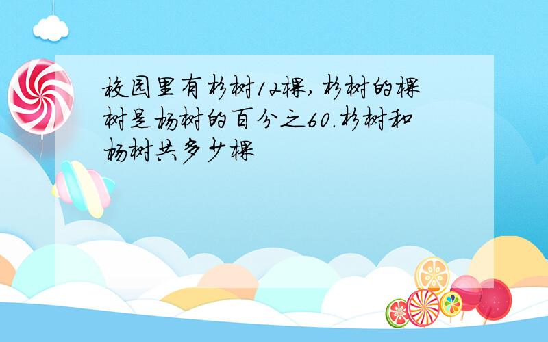 校园里有杉树12棵,杉树的棵树是杨树的百分之60.杉树和杨树共多少棵