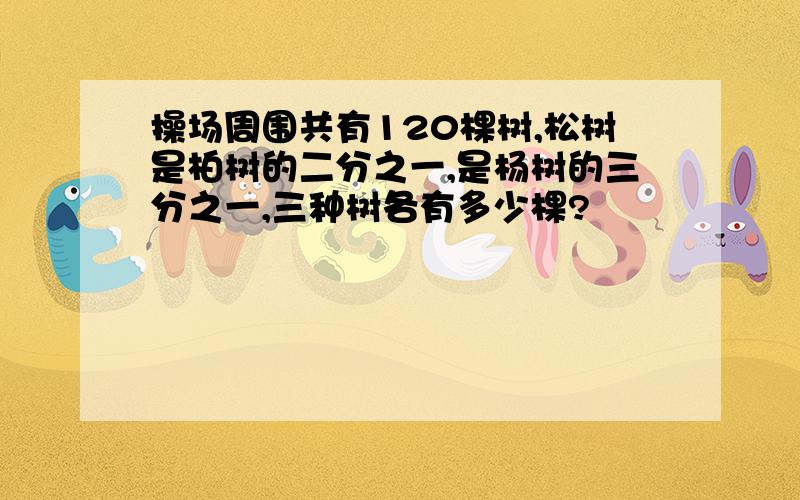 操场周围共有120棵树,松树是柏树的二分之一,是杨树的三分之一,三种树各有多少棵?