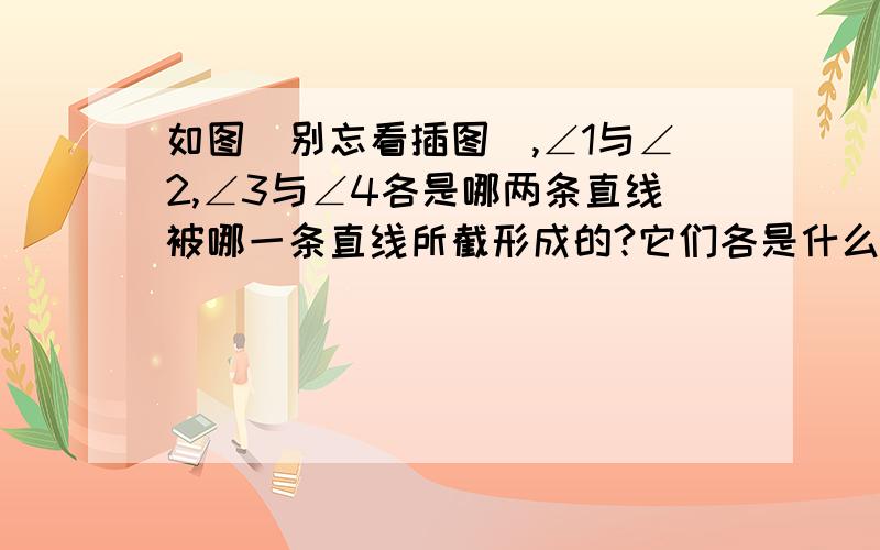 如图（别忘看插图）,∠1与∠2,∠3与∠4各是哪两条直线被哪一条直线所截形成的?它们各是什么角?