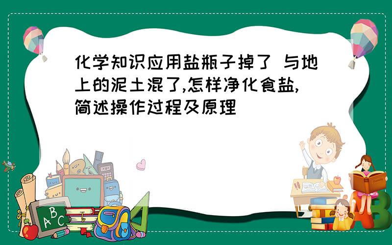 化学知识应用盐瓶子掉了 与地上的泥土混了,怎样净化食盐,简述操作过程及原理