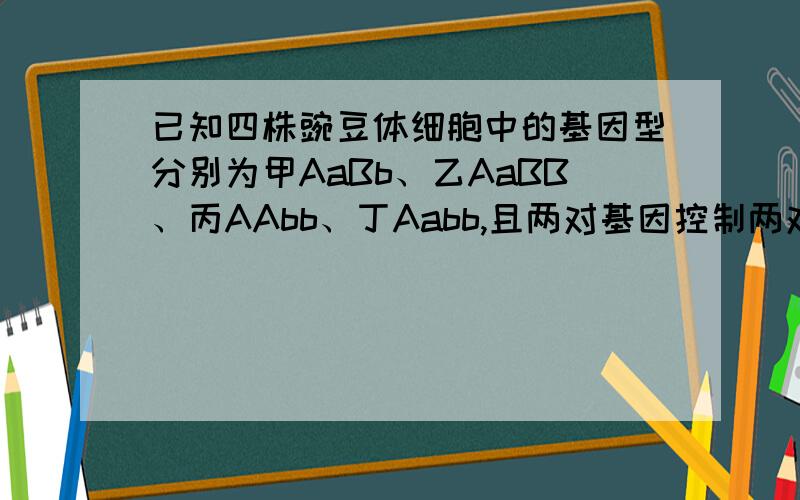 已知四株豌豆体细胞中的基因型分别为甲AaBb、乙AaBB、丙AAbb、丁Aabb,且两对基因控制两对相对性状位于非同源染色体上.在完全显性条件下,下列分析错误的是 A.甲、乙豌豆杂交后代的性状分离