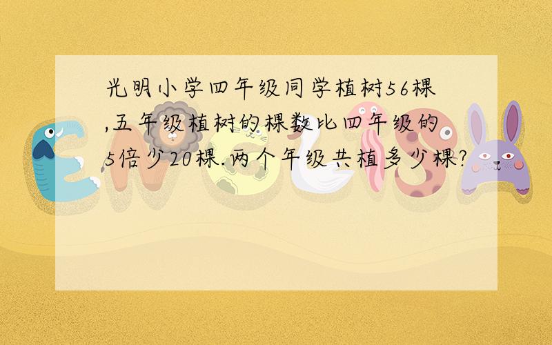 光明小学四年级同学植树56棵,五年级植树的棵数比四年级的5倍少20棵.两个年级共植多少棵?