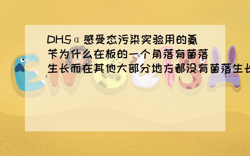 DH5α感受态污染实验用的氨苄为什么在板的一个角落有菌落生长而在其他大部分地方都没有菌落生长?是不是污染了,角落上似乎菌长成一片,有几个单菌落.其他地方是一片空白,效率实验还不错